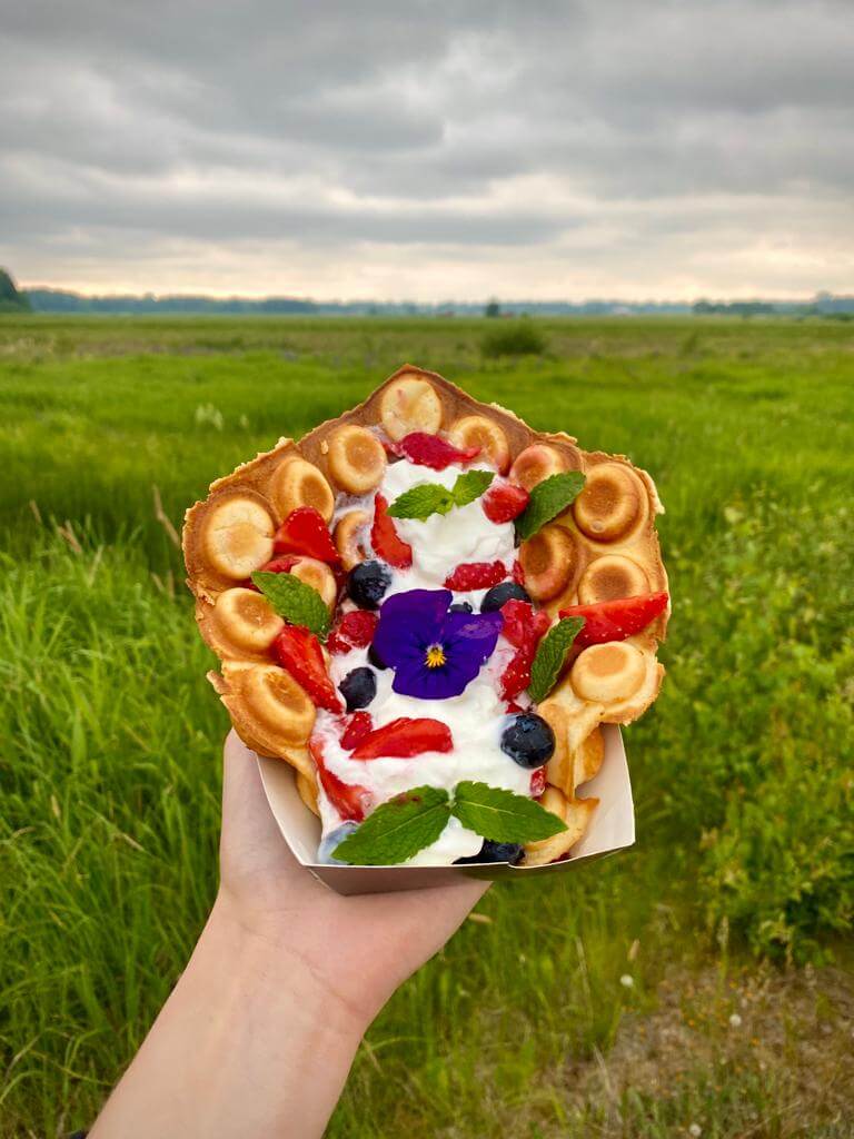 Vohveli pellon laidalla